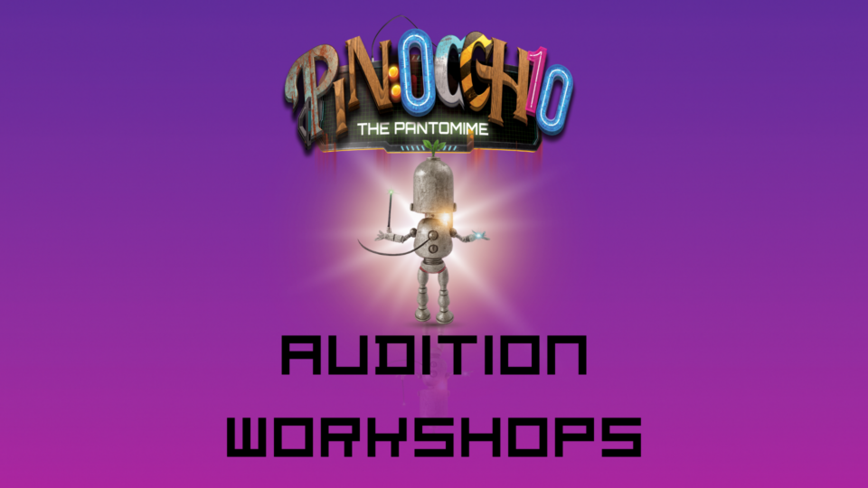 Pinocchio (PIN:0CCH10) Panto Workshop